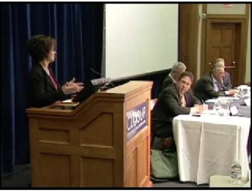 The role of the private sector in K-12 public education panel